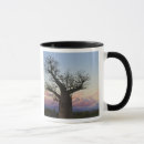 Search for baobab tree mugs Nature