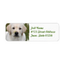 Search for golden retriever return address labels Canine