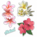 Search for hawaiian craft supplies Hibiscus