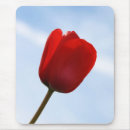 Search for red tulip electronics Photography