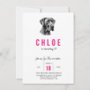 Search for great dane invitations Dog