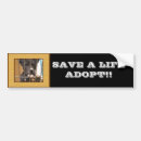 Search for puppy bumper stickers Adopt