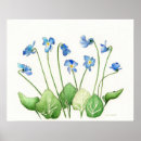 Search for violet spring flower posters Nature