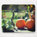 Search for gourd mouse mats Pumpkin