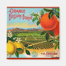 Search for crate label magnets Oranges
