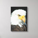 Search for white feather canvas prints Bird