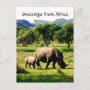 Search for rhino postcards Landscape