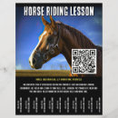 Search for horse flyers Animal