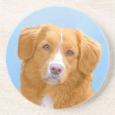 Search for nova scotia coasters Dog