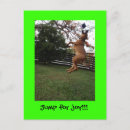 Search for jumping postcards Pet