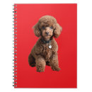 Search for cute fluffy notebooks Poodle