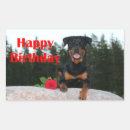 Search for rotty stickers Rottie