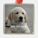 Search for golden retriever christmas decor Puppy