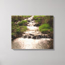 Search for waterfall photography Forest