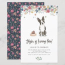 Search for boston terrier birthday Dog