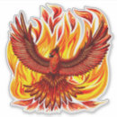 Search for bird of fire stickers Sun