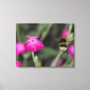 Search for bumble bee canvas prints Nature
