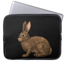 Search for cute bunny cases Hare