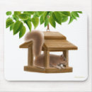 Search for gray squirrel electronics Rodent