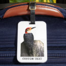 Search for watcher photography Ornithology