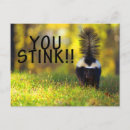 Search for stinks postcards Skunk