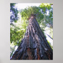 Search for pch posters California