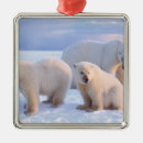 Search for sowing christmas tree decorations Snow
