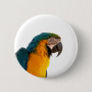 Search for parrot macaw badges Colourful