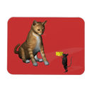 Search for friendship magnets Mouse