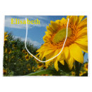 Search for plant gift bags Flower
