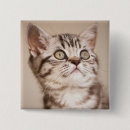 Search for tabby square badges Cat