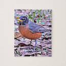 Search for robin puzzles Bird