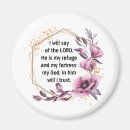 Search for ninety one magnets Faith