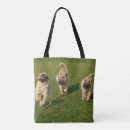 Search for pei bags Cute
