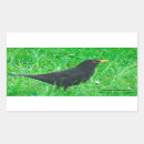 Search for rain bird stickers Animal