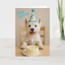 Search for westie mom cards West highland terrier