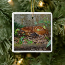 Search for antelope christmas tree decorations Wildlife