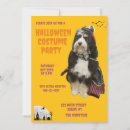 Search for pirate halloween invitations Funny