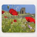 Search for acropolis mouse mats Archaeology