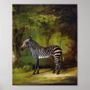 Search for vintage zebra posters Horse