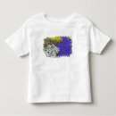 Search for growing grapes tshirts Grape hyacinth