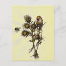 Search for buzzing postcards Cute