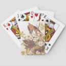 Search for mourning dove Birds of america