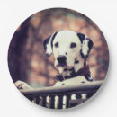 Search for dalmatian paper plates Dogs