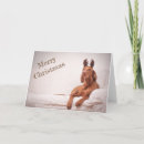 Search for vizsla cards Viszla