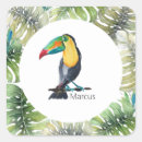 Search for exotic stickers Summer