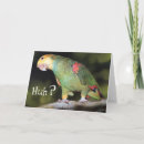 Search for parrots cards Yellow