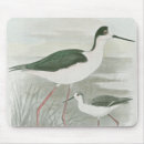 Search for water mouse mats Nature