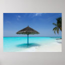 Search for thatched posters Caribbean