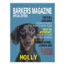 Search for doxies art Dog lover